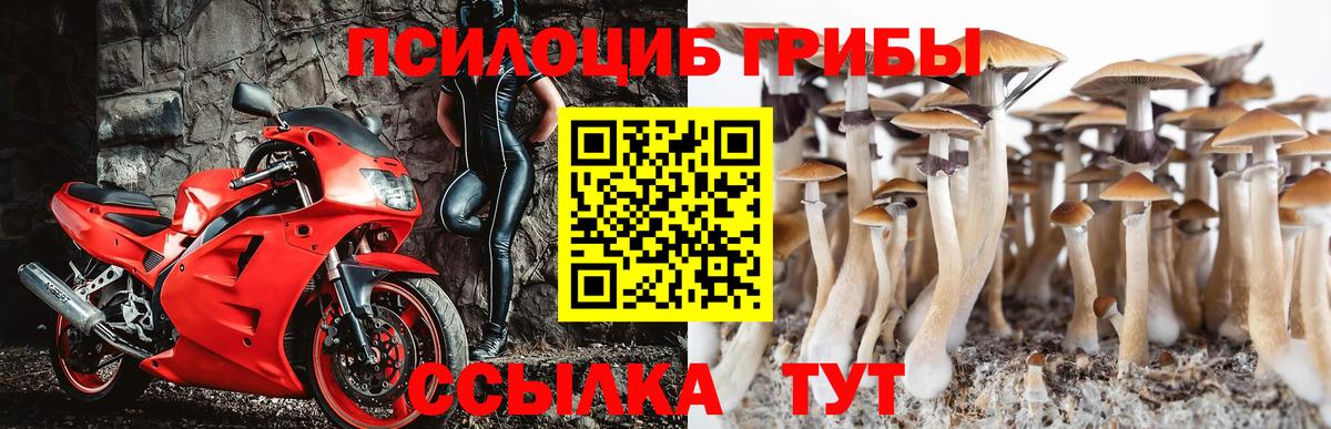 Галлюциногенные грибы Cubensis Медногорск
